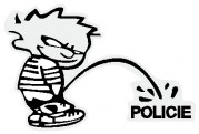 Boy POLICIE